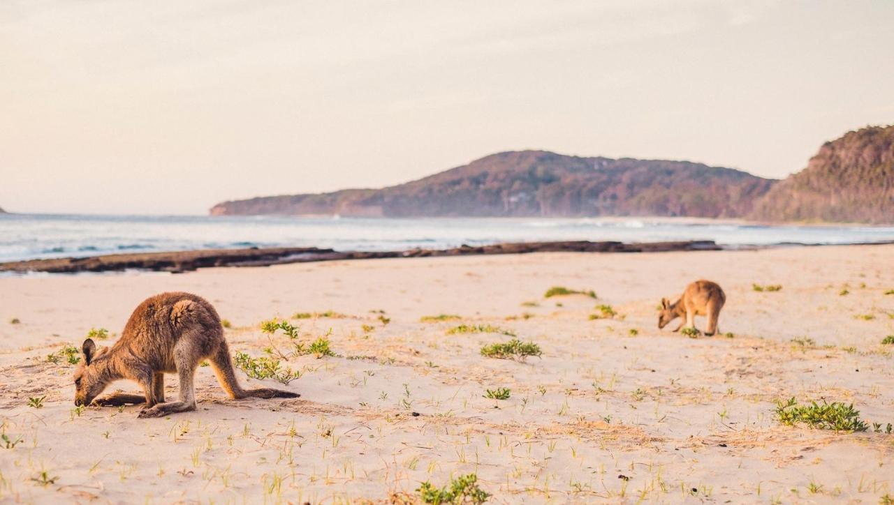 Pebbly Beach Escape East Lynne Zewnętrze zdjęcie