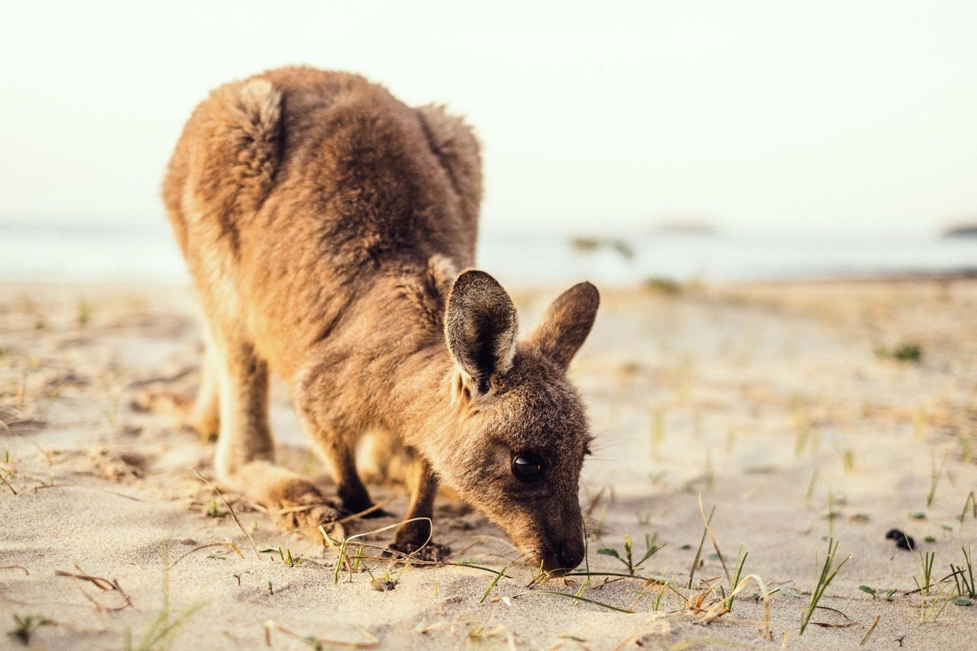 Pebbly Beach Escape East Lynne Zewnętrze zdjęcie